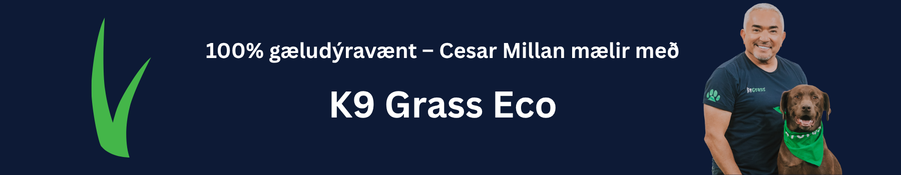 Bestu gervigras hundar
