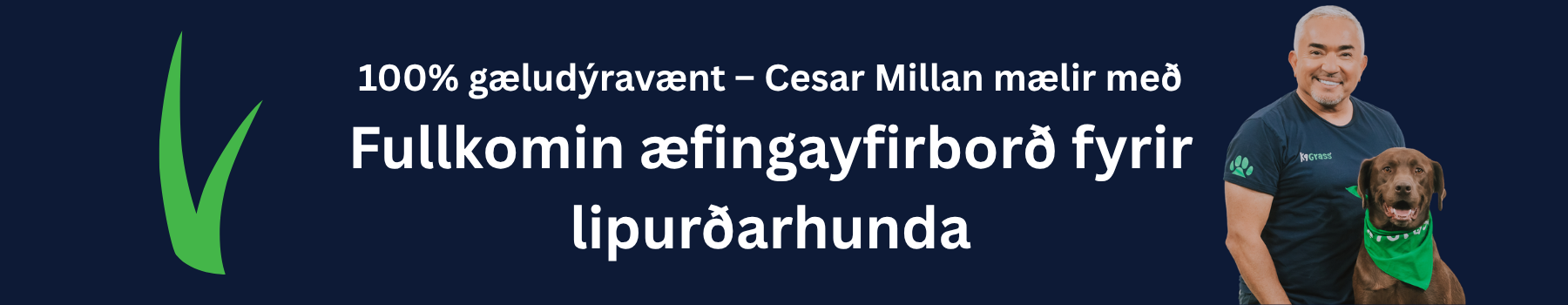 Gervigras fyrir lipurðarþjálfun hunda