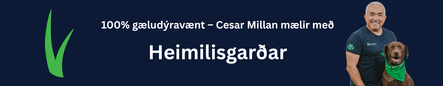 Gervigras hundar garður