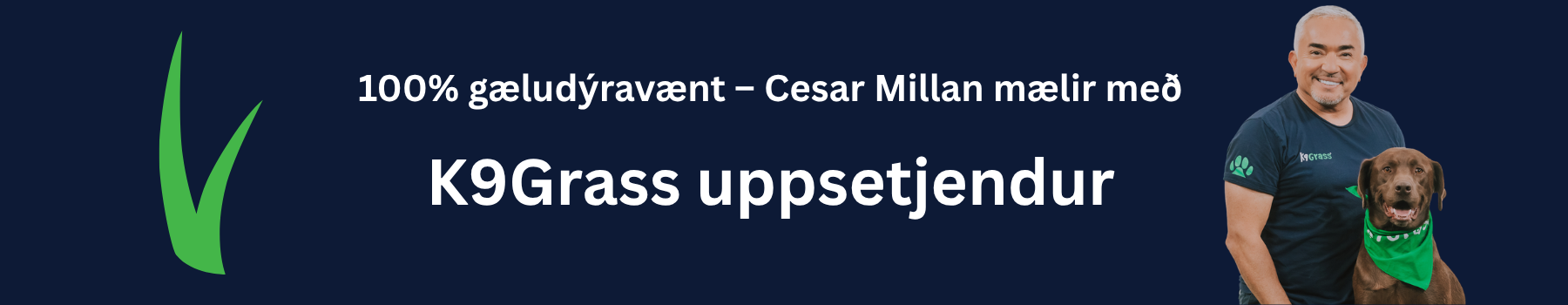 Gervigras uppsetning