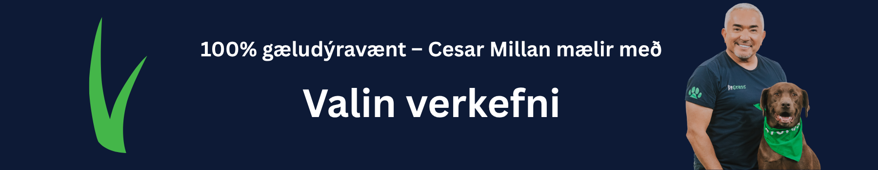 100% hundavænt, með framúrskarandi frárennsli, bakteríudrepandi vörn og náttúrulegu útliti.