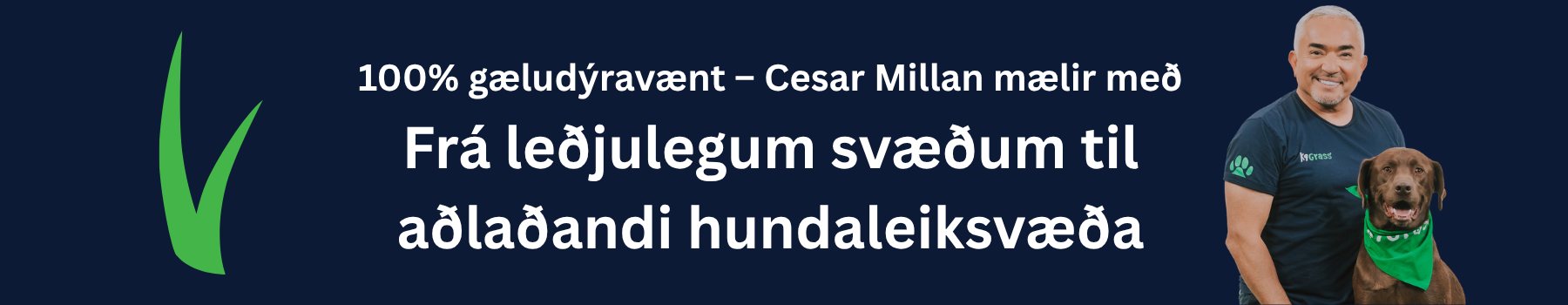 Gervigras fyrir gæludýr